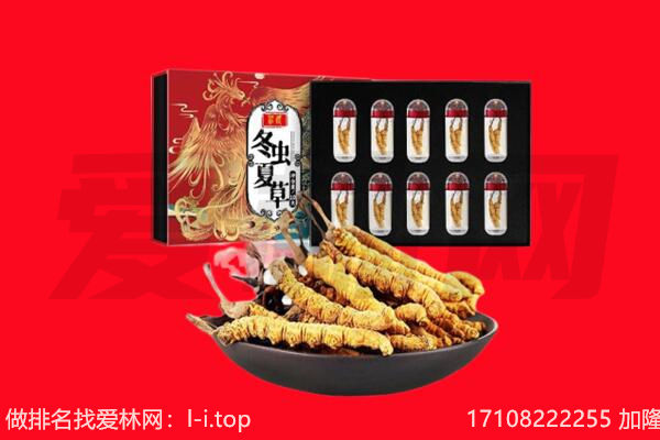 临洮县回收虫草.jpg